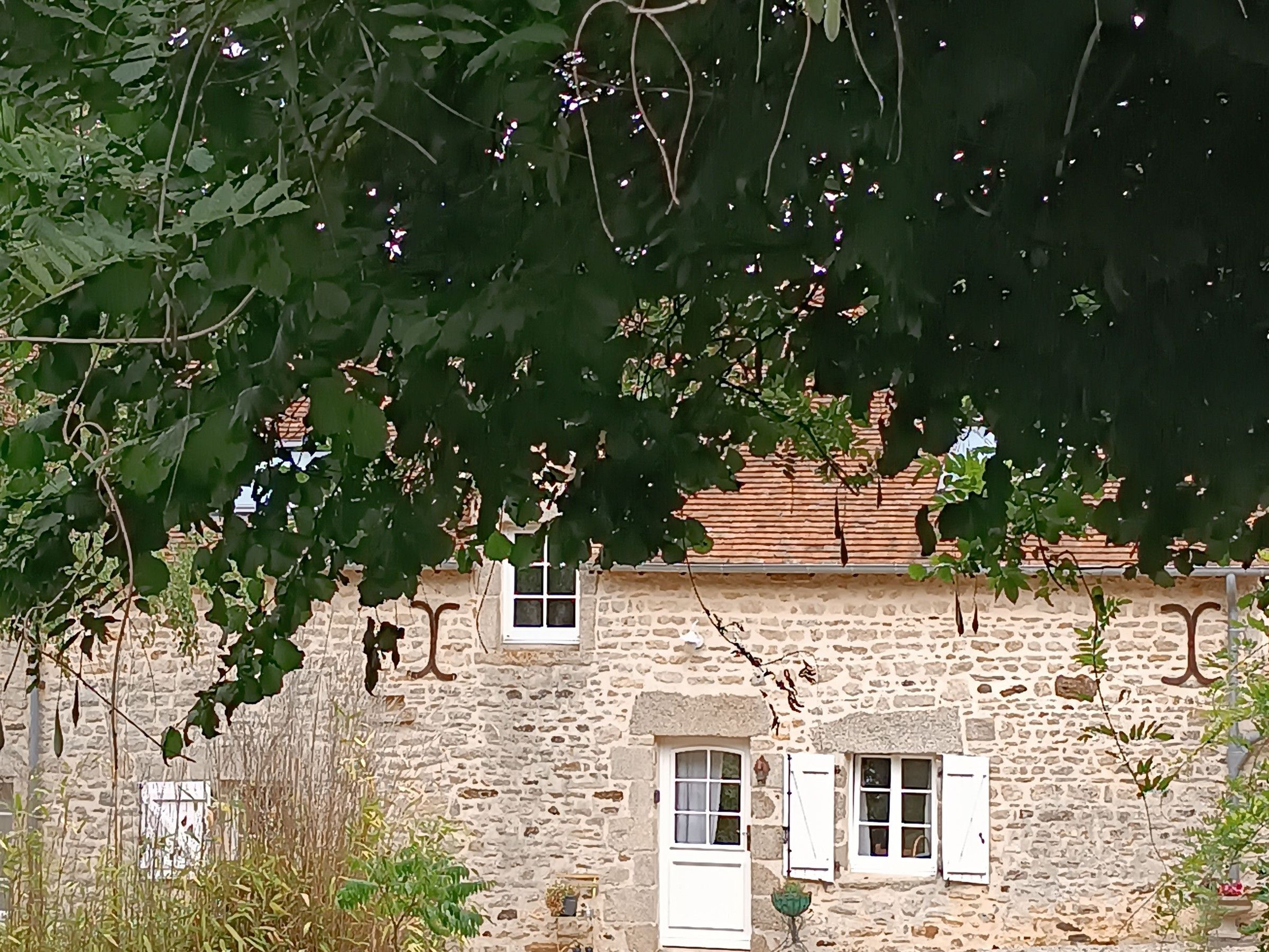 Un bâtiment en pierre doté de nombreuses fenêtres et d’une porte, entouré de verdure.