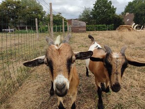 Enceinte de lâhĂ©bergement