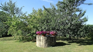 Un jardin avec un bac en béton rempli de fleurs roses, entouré d’une pelouse verdoyante et de quelques arbres.