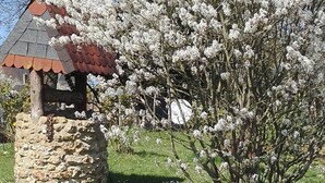 Une construction en pierre surmontée d’un toit rouge, entourée de fleurs blanches en pleine floraison et d’herbe verte.