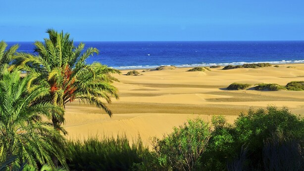 A beach with sand dunes and palm trees. - Mele Sky Beach, BEACH APARTMENT, sea views, terrace and sun (Lomo Quiebre)