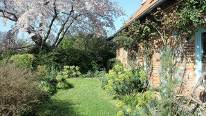 Un jardí amb una varietat de plantes i un edifici de maó amb teulada inclinada.