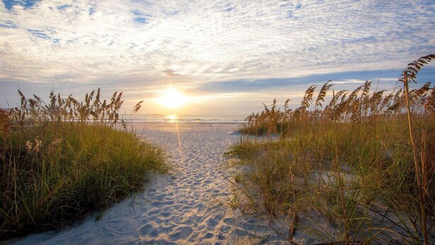 A beach scene with sand and tall grasses in the foreground, leading to a calm sea under a partly cloudy sky.