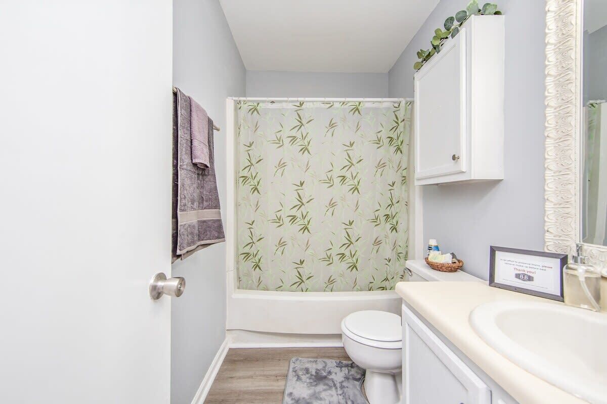 Bathtub, hair dryer, soap, shampoo