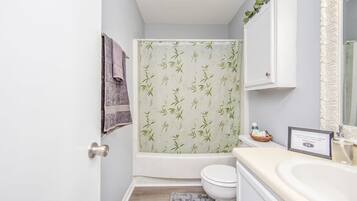 Bathtub, hair dryer, soap, shampoo