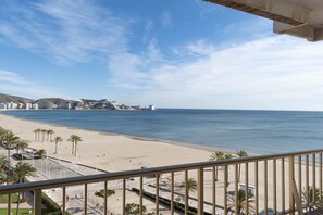 A beach view with a clear sky, palm trees, and a distant cityscape.