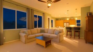 TV, video games, Netflix, books