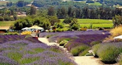 Quiet Winter Retreat in Santa Rosa Wine Country