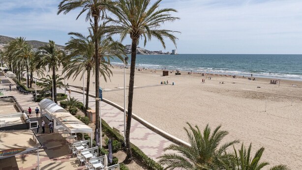 Een strand met palmbomen, een zandstrand en een stadsgezicht op de achtergrond.