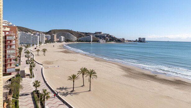 Een strand met een promenade, omzoomd door palmbomen en gebouwen.