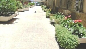 Un sendero bordeado de macetas con plantas y flores, que conduce a un edificio con balcones.
