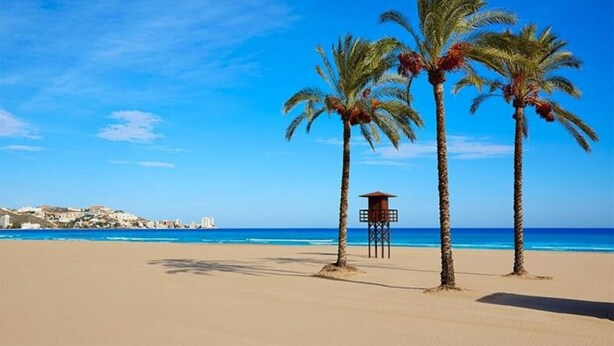 A beach with palm trees and a lifeguard tower. - MARI CARMEN, 2º-8 (Cullera)