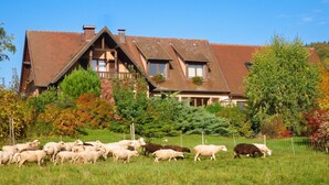 Unclassified image, 3 of 26, button - Homerez - Appt Thannenkirch, Mountain View (Thannenkirch)