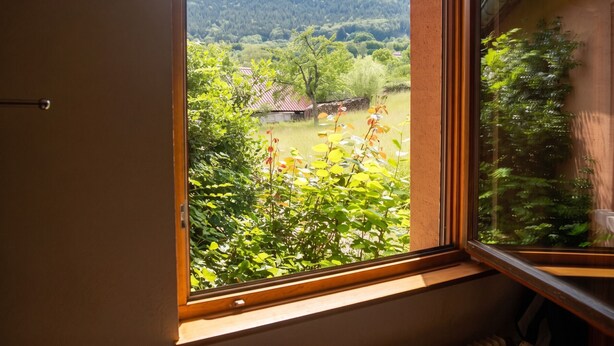 Unclassified image, 1 of 26, button - Homerez - Appt Thannenkirch, Mountain View (Thannenkirch)