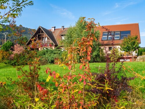 Homerez - Appt Thannenkirch, vue montagne