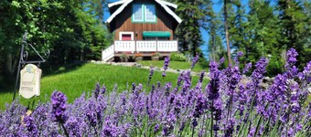 Gorgeous Property Located Just 30 Minutes From Glacier National Park