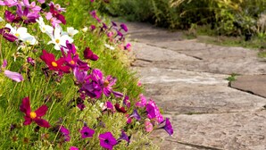Un sentiero in pietra circondato da fiori colorati.