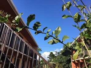 Exterior detail - Cabinas Bachelor (Mogote de Bagaces)