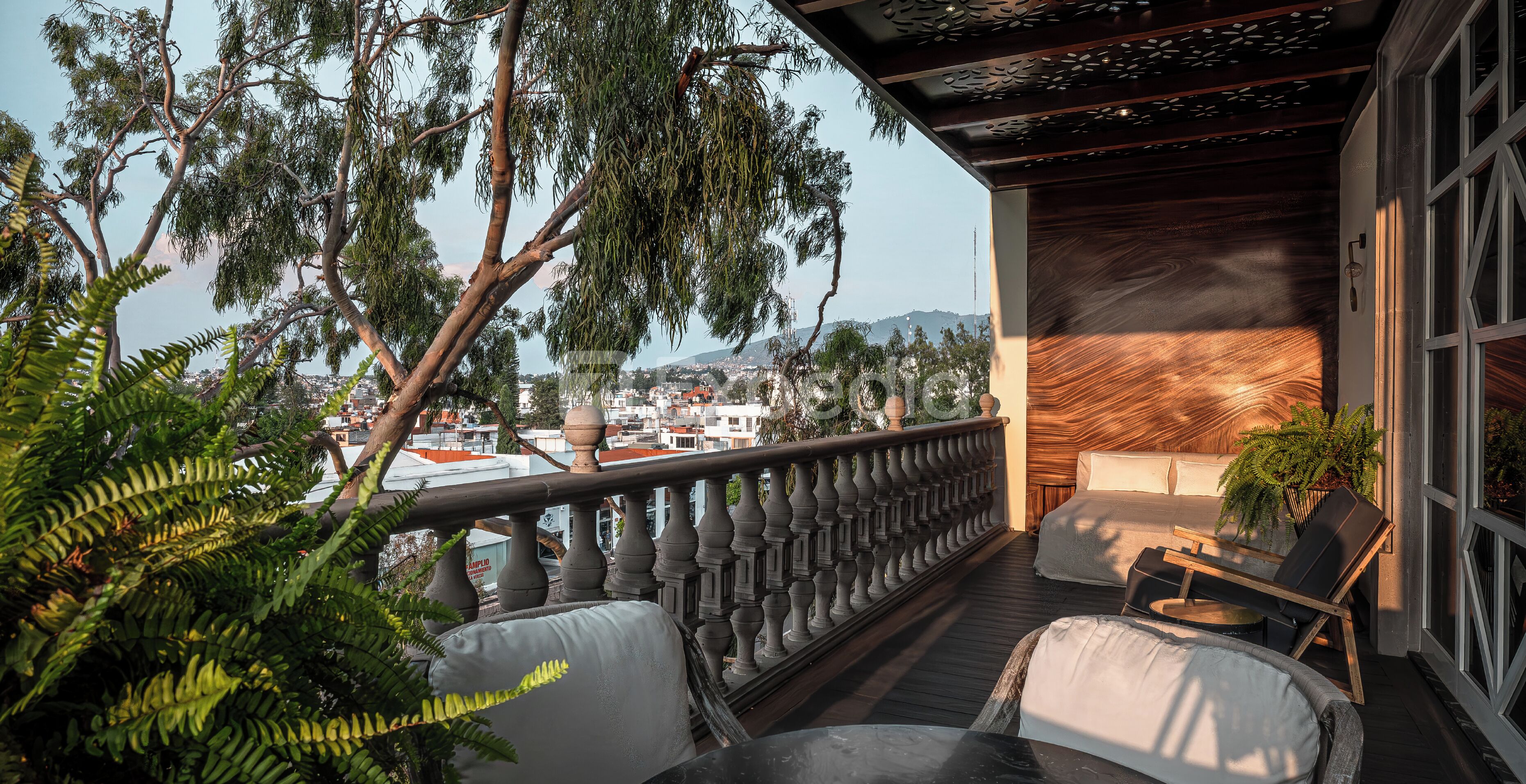 Premium Suite | Terrace/patio