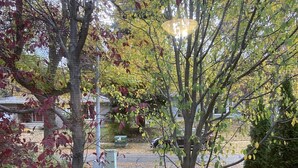 A residential area with trees, a lawn, and a fence. - Top floor suite (St. Albert)