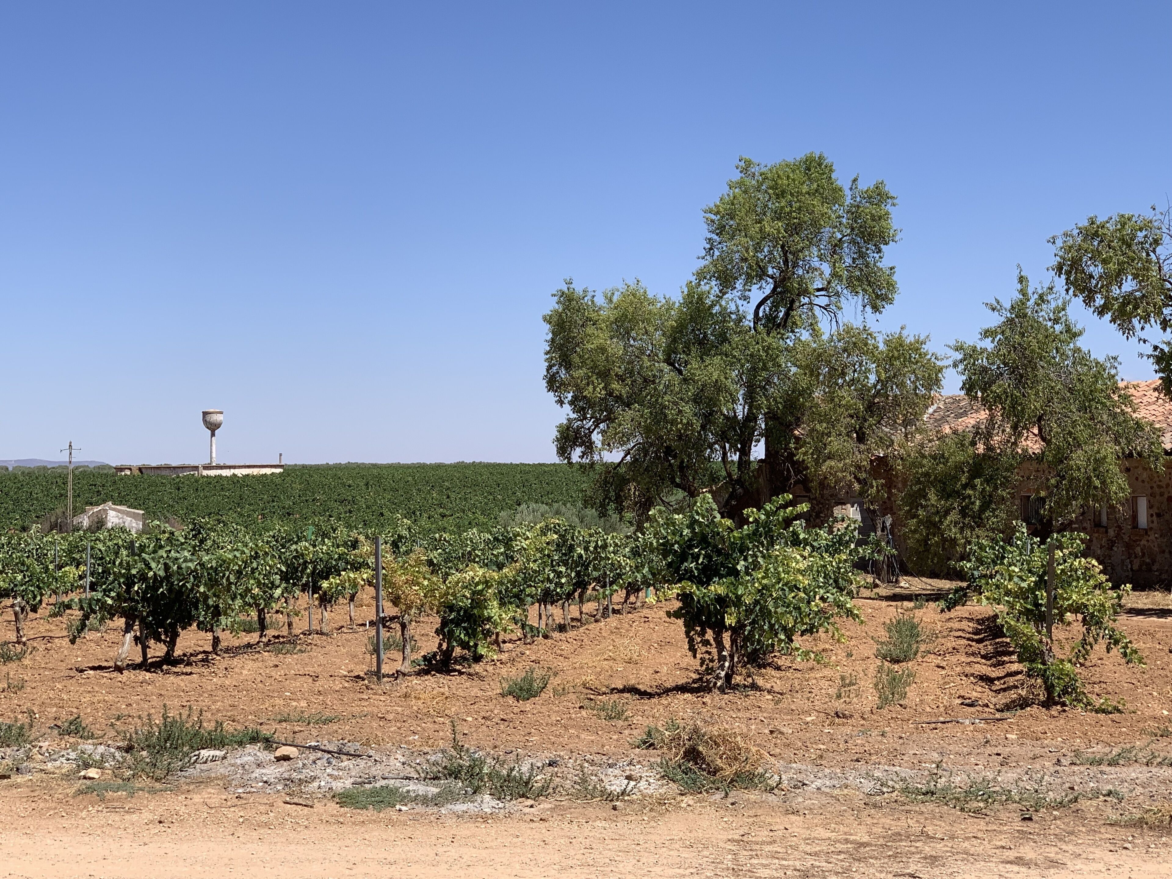 Casa Rural Casa del Monte Agroturismo Cozar Campo de Montiel