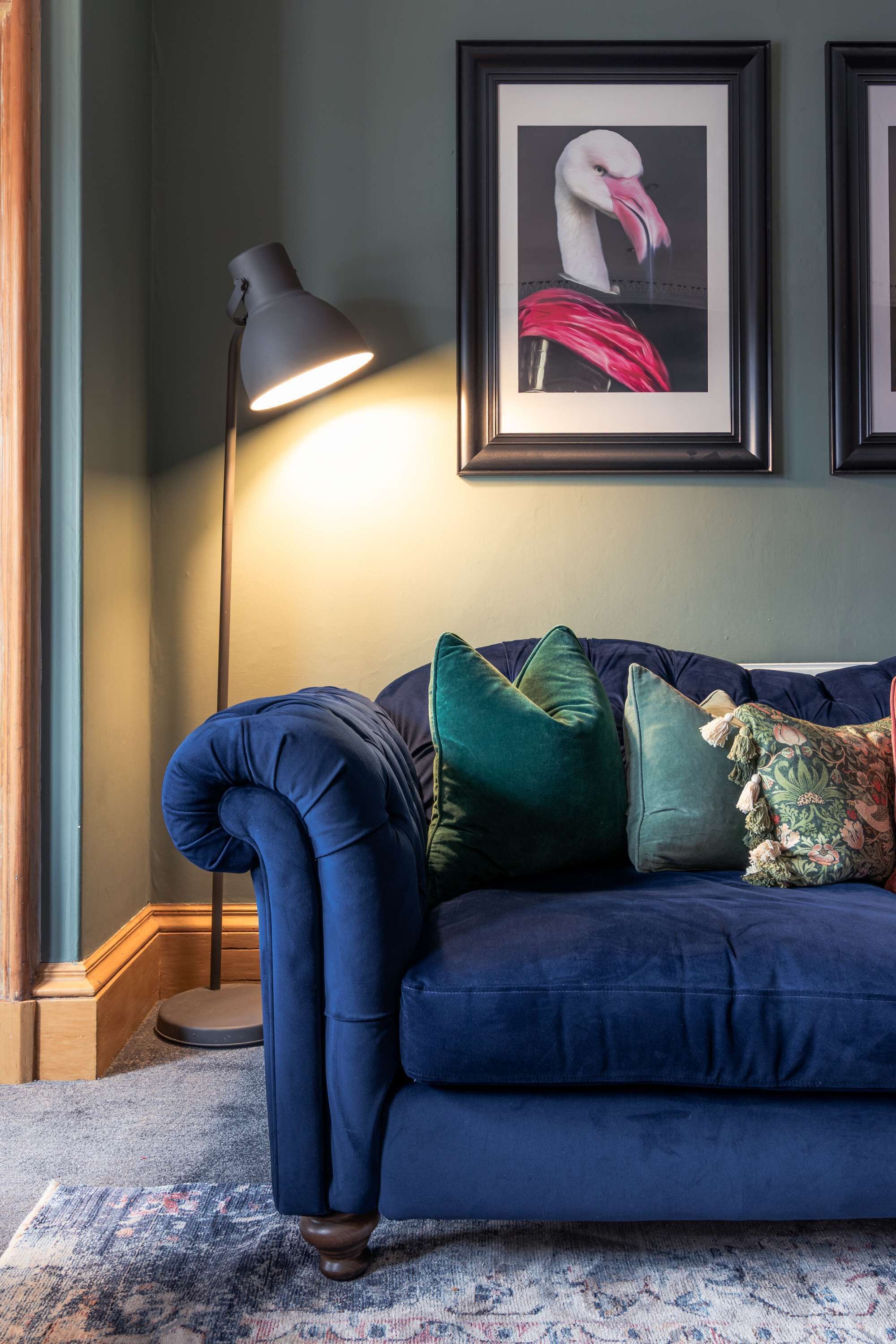 TV, Netflix, books, streaming services