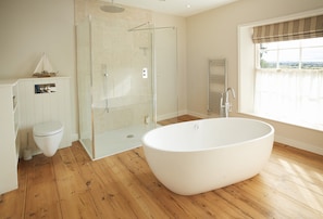 Bathtub, hair dryer