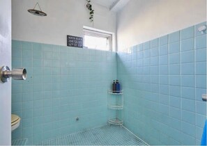 Combined shower/tub, hair dryer, towels