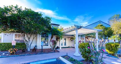 Amazing Condo 1Bdr 1Bth near Downtown Orlando