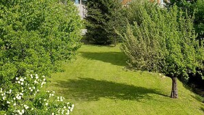 A grassy pathway leading to a mountain view with a large evergreen tree and a building in the background.