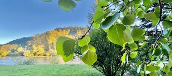 On the Banks of the River with Direct ATV Access to National Forest Roads.
