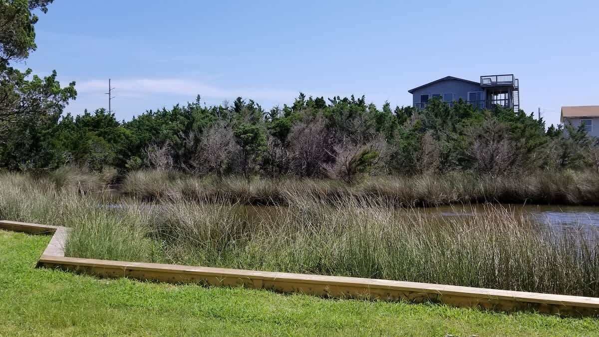 A grassy area with a wooden boardwalk, dense shrubbery, and a building with a blue roof in the background.