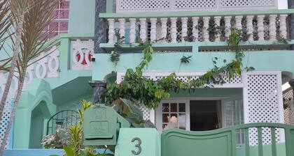 Tropical Blossom Apt. with washer, T.V, a/c,wi-fi