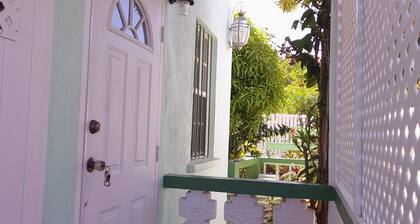 Tropical Blossom Apt. with washer, T.V, a/c,wi-fi