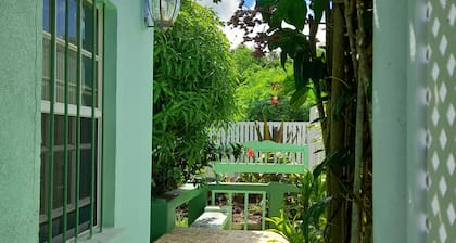 Tropical Blossom Apt. with washer, T.V, a/c,wi-fi