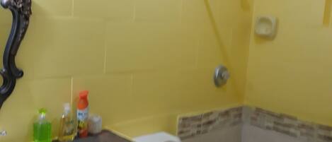 Douche, serviettes fournies, savon, papier toilette