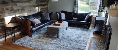 Smart TV, fireplace, books