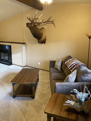 Smart TV - On the Rio Grande. Direct ATV Access from the property to National Forest Roads. (South Fork)