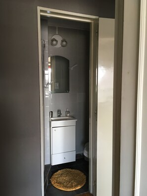 Ducha, secador de pelo, toallas