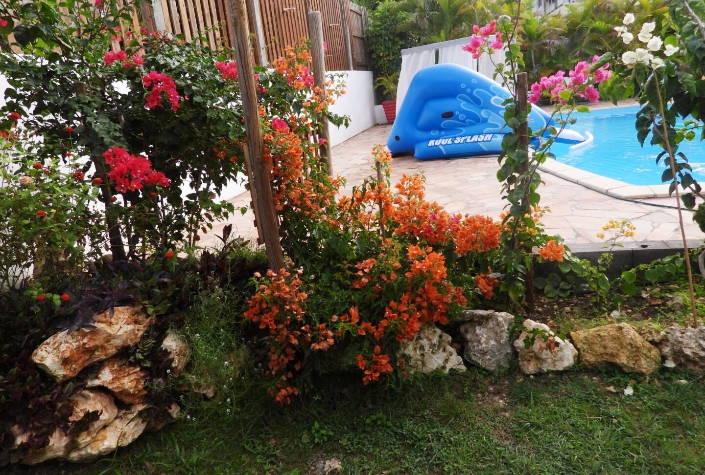 Un jardin avec une piscine, agrémenté de fleurs aux couleurs vives et d’un jouet gonflable bleu pour la piscine.