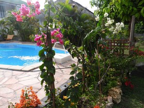 Outdoor pool - Villa Prune Kafé: charming 3-room apartment with fully enclosed private pool (LE MOULE)