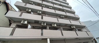 Exsaison Shirokita 605