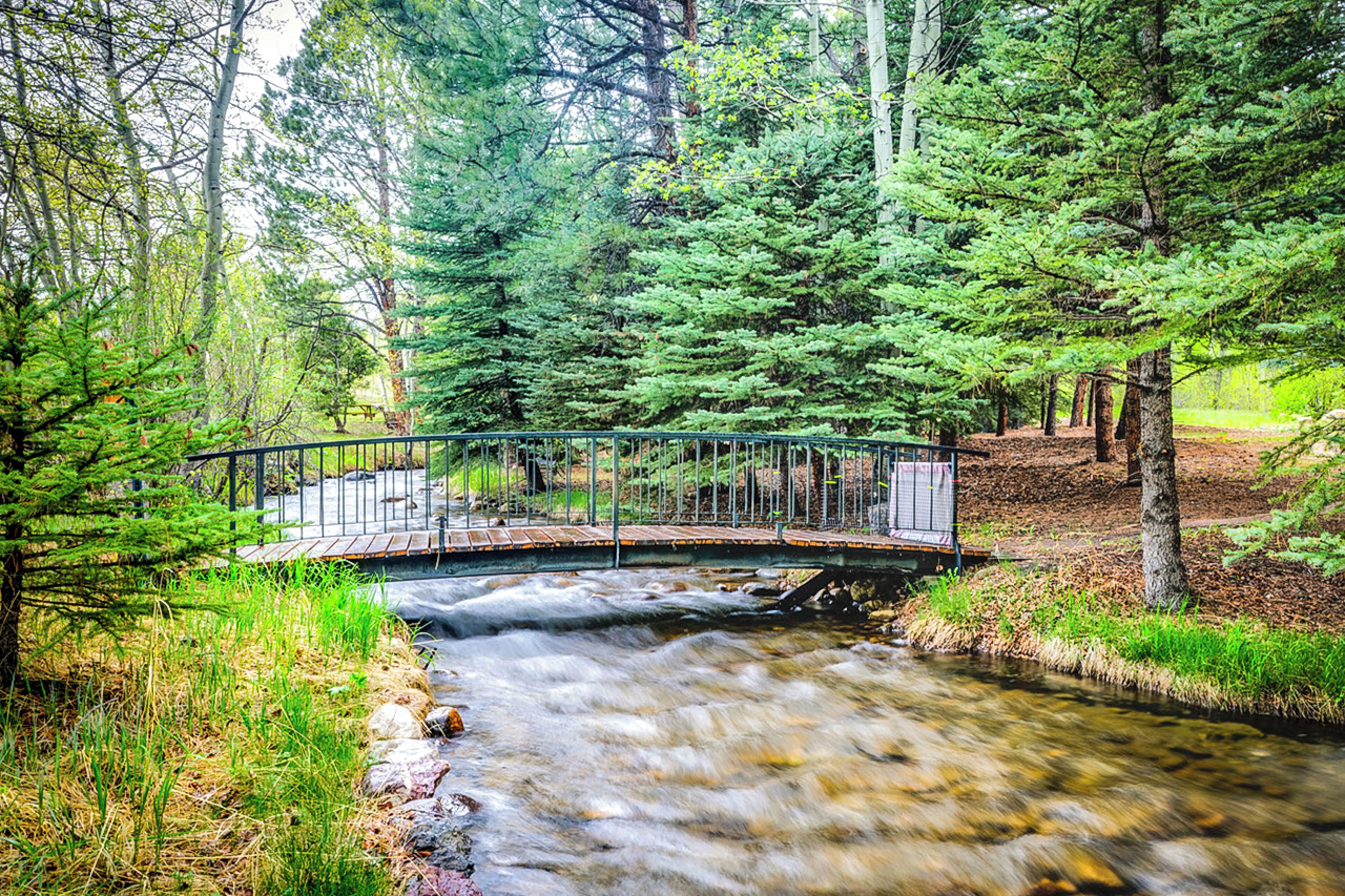Un pont en bois enjambe un ruisseau où l’eau coule, le tout étant entouré d’une forêt dense et verdoyante.