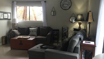 智能電視、壁爐、DVD 播放機、書籍