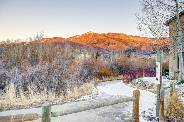 Photo non classée, 1 sur 50, bouton