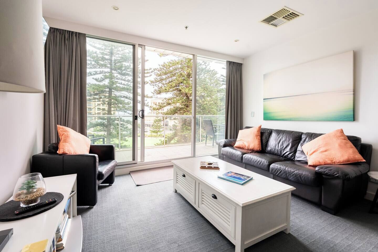 Smart TV, DVD player, books, video library