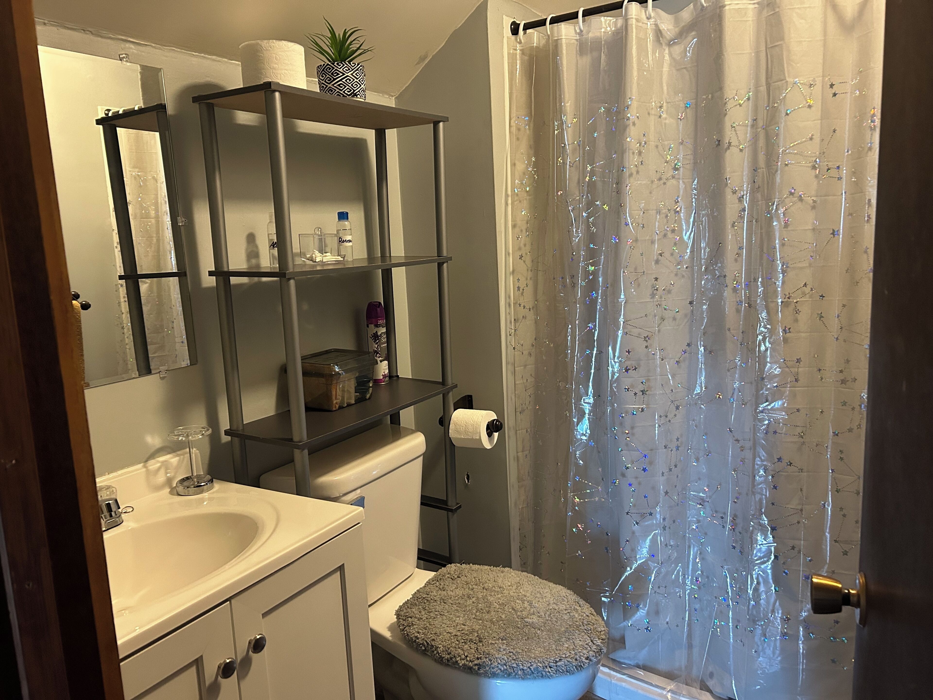 Combined shower/tub, towels, soap, shampoo