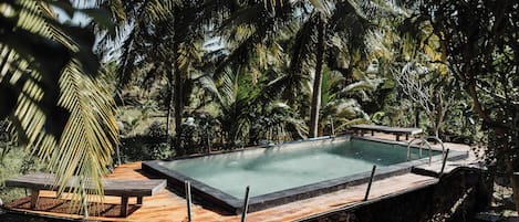 Una piscina rectangular con un muro de piedra y cubierta de madera, rodeada de palmeras.