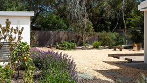 A garden with a variety of plants, a gravel path, and a wooden fence in the background.