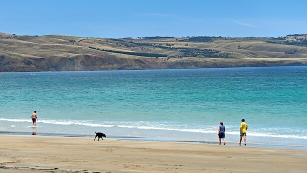 A beach with people and a dog walking along the shore, a clear sky, and rolling hills in the background.